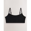 NEXT 3 Pack Cropped Tank Tops, black