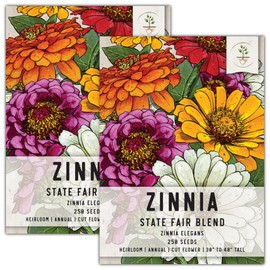 Seed Needs, Mixed State Fair Zinnia Seeds - 250 Heirloom Seeds for Planting Zinnia Elegans - Annual Flowers to Attract Butterflies & Other Pollinators, Great Cut Flower (2 Packs)