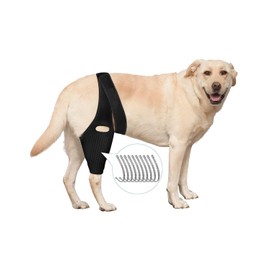 Hagmoy Dog Knee Brace for Hind and Rear Leg, Support for Dog ACL CCL Cruciate Ligament Injury Joint Pain and Muscle Sore (Size: L)