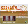 Geramin B12 Jalea Real Adicionada Con Vitamina Y Minerales 50