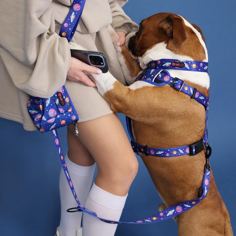 Helltails Leckerlitasche & Leckerlibeutel für Hunde | Hundetütenspender mit 2