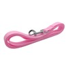 TAIAN 5 FT Strong Dog Leash, Nylon Dog Leashes for