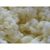 Kefir Grains - Living Probiotic Enriched