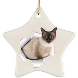 Funny Balinese Cat Blue Eye Coming Out of Cracked Wall Gifts 2025 Christmas Tree Ornaments Ceramic Star