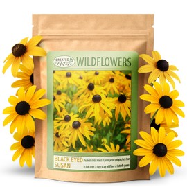 Created By Nature Black-Eyed Susan Wildflower Seeds, 55,000 Non-GMO Yellow Daisy Seeds
