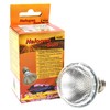 Lucky Reptile HS-50 Halogen Sun, 50 Watt