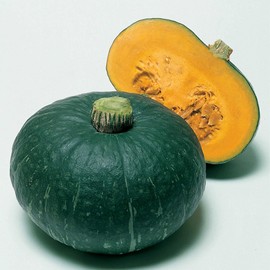 Squash Seeds - Japanese, Winter - Sweet Mama - Hybrid - 1 Oz ~156 Seeds - Non-GMO, F1 Hybrid - Asian Garden Vegetable