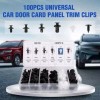 100 pcs Auto Car Bumper Retainer Clips Kit Fastener Remover