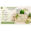 Genérico Kit Autocuidado Calma Aloe Vera Cada Uno