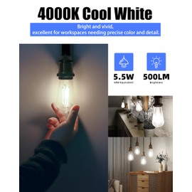 Lumiverse Edison Bulbs 60W Equivalent, Dimmable LED Light Bulbs, CRI 90+, Vintage E26 Lightbulbs, Natural White 4000K, ST19 ST58, 5.5W, Antique Clear Glass, 6 Pack