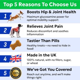 BARK&SPARK Advanced Mobility Joint Supplement - Choose Chews! - Glucosamine Hip & Joint Support for Senior Dogs - Made in UK - 120 Count