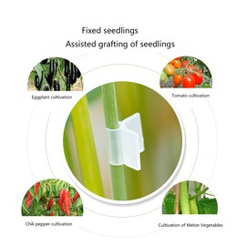 Plant Grafting Clips, 100 PCS Transparent Mini Flower Plants Grafting Clips for Plants, Horticulture Grafting Clamp,Special grafting clip Tomato seedling grafting clip Eggplant grafting clamp