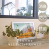 Kishima KH-61247 Artificial House Plants, Fake Green, Artificial Plants, Never
