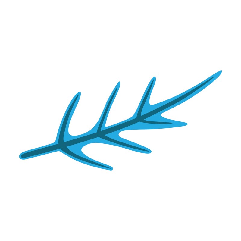 Sizzix Switchlits Embossing Folder Spring Leaves by Kath Breen, 665737,