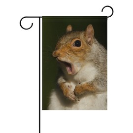 ALAZA Double Sided Grey Squirrel Yawning Funny Face Polyester House Garden Flag Banner 28 x 40 Inch for Anniversary Family Garden Decor