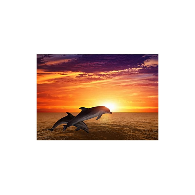 Lais Puzzle Jumping Dolphins 1000 Pieces