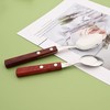 Teaspoons Set of 8, 304 Stainless Steel Dessert Spoons with