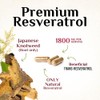 Nature's Nutrition - Resveratrol 1800mg - Suplemento Antioxidante, 120 Cápsulas