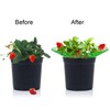 Pumtus 20 Pack Strawberry Supports, Strawberry Plant Stand With 3