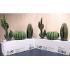IKEA 2 Sets Ikea Fejka Miniature Artificial Cactus Plants x