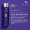 Alterna CAVIAR Anti-Aging Replenishing Moisture Shampoo | For Dry, Brittle