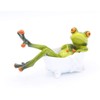 Formano Frog in Bath