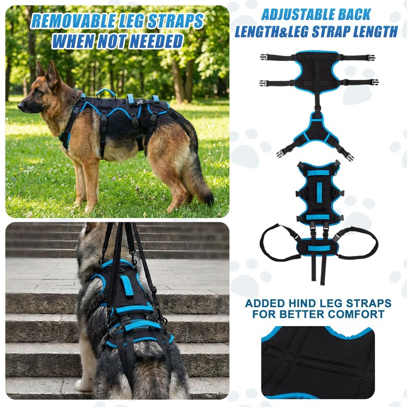 Yeyeplum Dog Lift Harness for Large Male Dogs, 2-in-1, Back