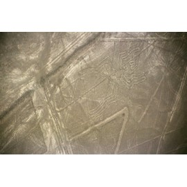 The Nazca Lines Spider Poster Photo Archaeoastronomical Sites Peru Posters Photos 20x30