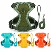 Breathable Mesh Pet Harness with Leash for Cats & Small