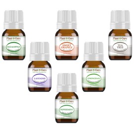 Essential Oil Variety Set Kit - 6 Pack - 100% Pure Therapeutic Grade 5 ml. Set Includes- (Peppermint, Lavender, Sweet Orange, Lemongrass, Eucalyptus & Tea Tree)
