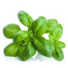 US Organic 100% Pure Basil Essential Oil - USDA Certified