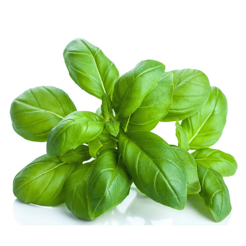 US Organic 100% Pure Basil Essential Oil - USDA Certified