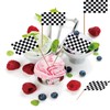 Checkered Black and White Racing Toothpick Flag Race Car Small