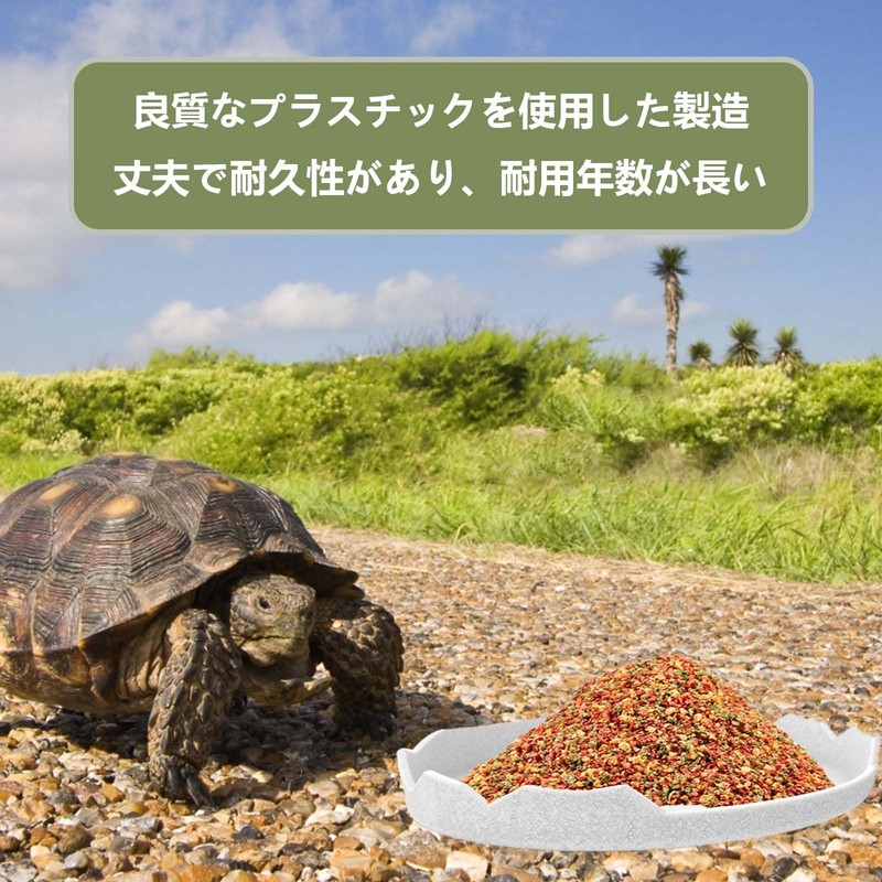 PAVIKE Reptile Water Dish for Reptile Feeding Dish Amphibian Drinking