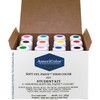 Food Coloring AmeriColor Student - Kit 12 .75 Ounce Bottles