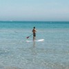 Buster Surfboards SUP Single Fin US Box - Stand Up