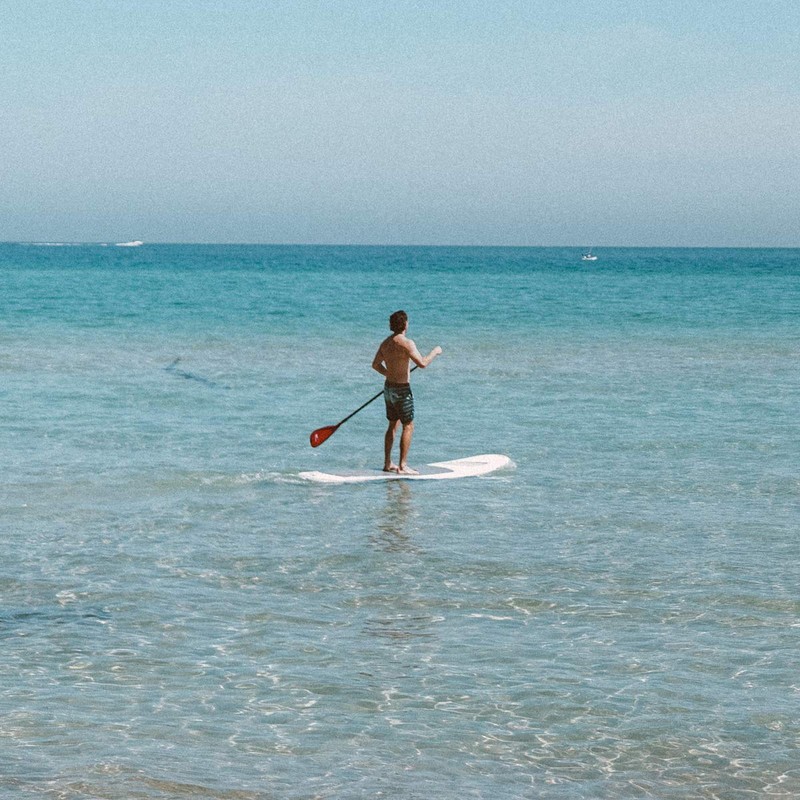 Buster Surfboards SUP Single Fin US Box - Stand Up
