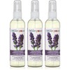 Flor Natural Power – Ambientador Natural, Lavanda, 3, 1