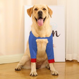 Qcwwy Elbow Pads for Dogs, Front Leg Protection for Dogs, Soft Padded Elbow Brace for Pets, Leg Wound Protection for Dogs, Front Leg Splints, Recovery Sleeves for Dogs (M)