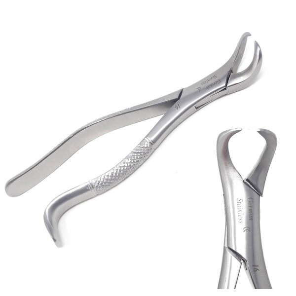 A2Z Scilab German Dental EXTRACTING Extraction Forceps Cow-Horn Beak #16