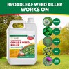Eco Living Solutions Weed Killer Concentrate - Pet Safe, Organic