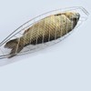 UPKOCH 4 Pcs Grill Basket, Stainless Steel, Folding Fish Grilling