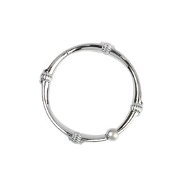Zenna Home NeverRust - Anillos de Ducha Decorativos de Aluminio inoxidables, Juego de 12, Cromo