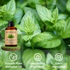 Wuvezrub Peppermint Essential Oils 120ML, Pure Peppermint Essential Oil for