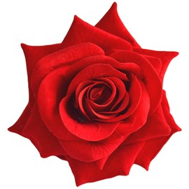 [Various Colors] Rose Flower Corsage Hair Corsage with Storage Case -