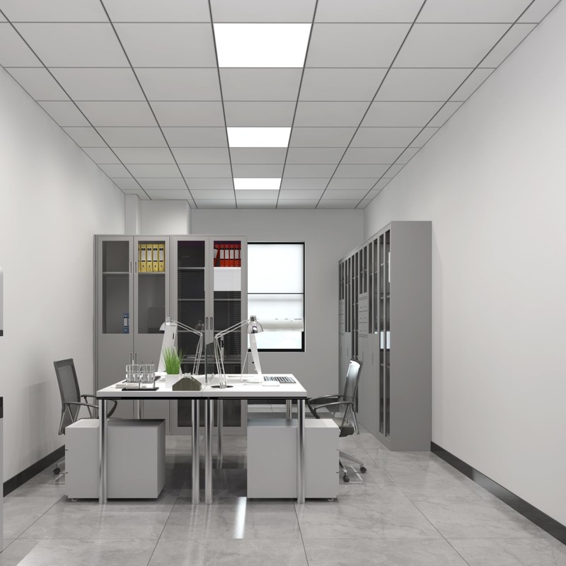 10-Pack White Ceiling Panel 4ft x 2ft (48in x 24in),