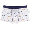 Circumcision Underwear for Kids PTE Protective Cover Anti Extrusion Dinosaur