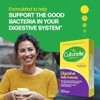 Amerifit Culturelle Digestive, Capsules, 30-Count