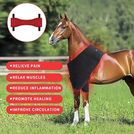 Cinturones De Terapia De Luz Roja Portátiles, Dispositivo De Terapia De Luz Roja E Infrarroja para Caballos, Luz Profunda Portátil De 660 NM Y 850 NM