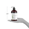 ApotheCARE Essentials The Replenisher Moisturizing Conditioner, Vanilla, Argan Oil, Sweet